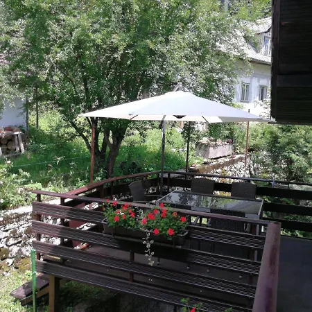 Klemen * Bohinjska Bela