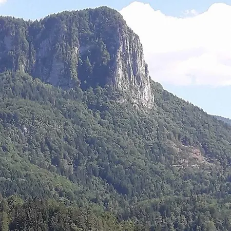 Apartmán Klemen Bohinjska Bela